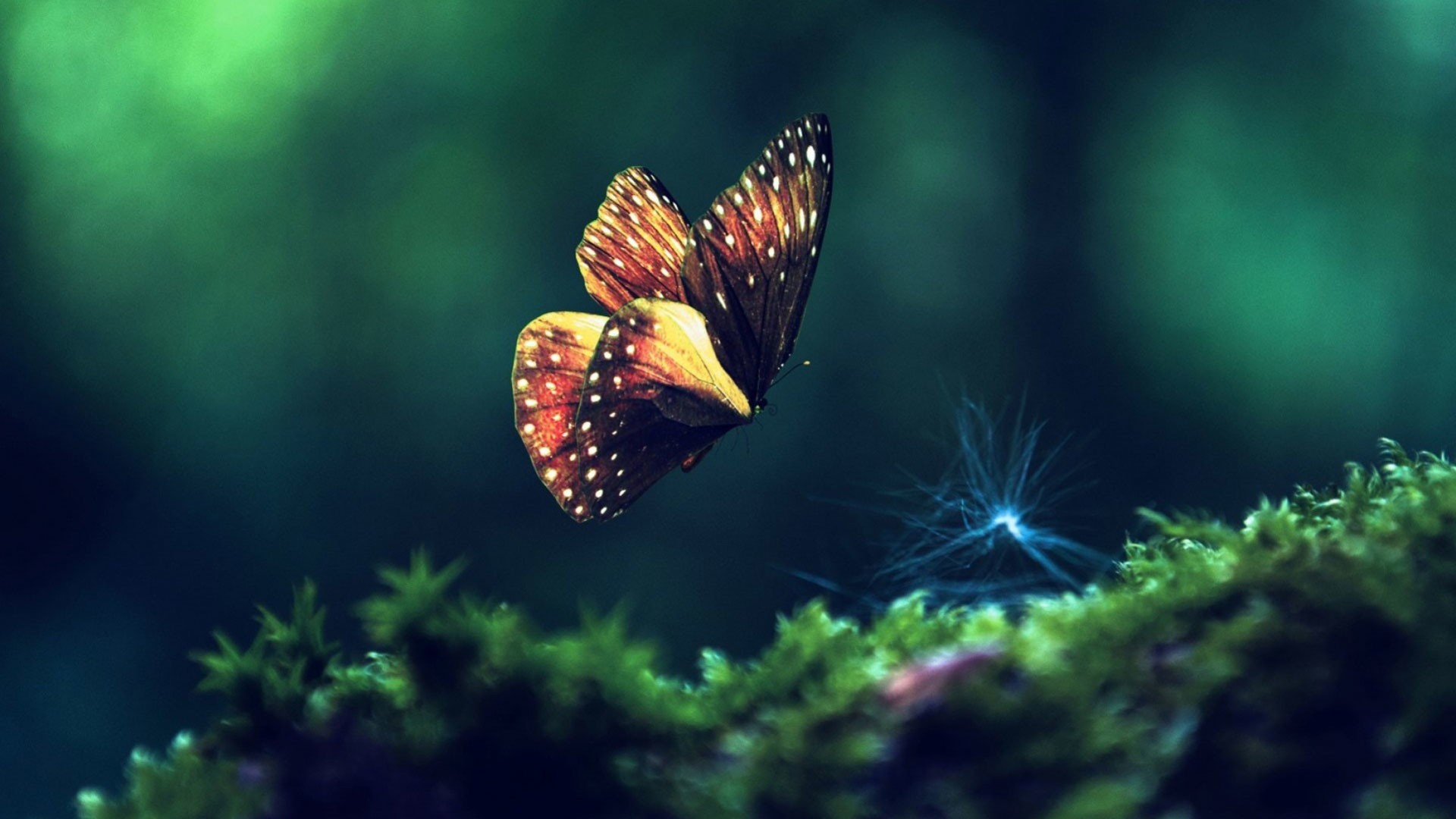 The Butterfly Effect: How Small Changes Lead to Big Transformations